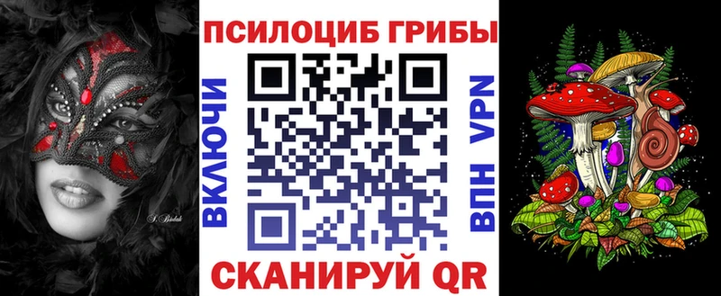Купить закладки  Калач  Галлюциногенные грибы Psilocybe 